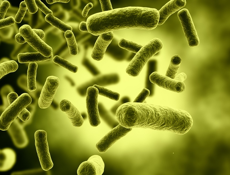 Vi khuẩn như E. coli thường gây ra nhiễm trùng